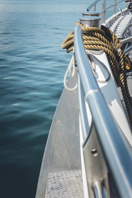 Coastliner.Boats Premium Domain